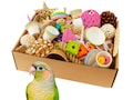 FORAGING TRAY | Eclectic and colorful mix of bird-safe shredders and toys