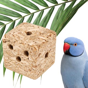 Foraging Bird Toy | Palm shred block | Parrot treat pocket toy | Set of 4