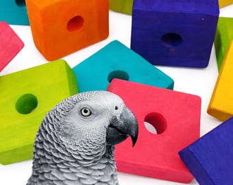 Bird Toy Parts | Wood blocks | Square | Set of 25 | Medium-Large