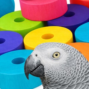 Bird Toy Parts | Wood blocks | Round | Set of 25 | Medium-Large