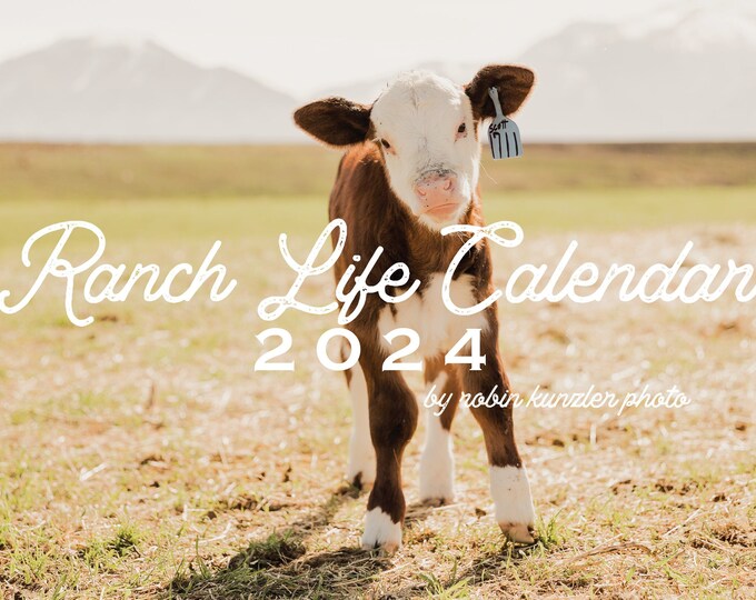 Cow Calendar 2025, 11.5 X 14.5 2025 Wall Calendar, Ranch Life Calendar