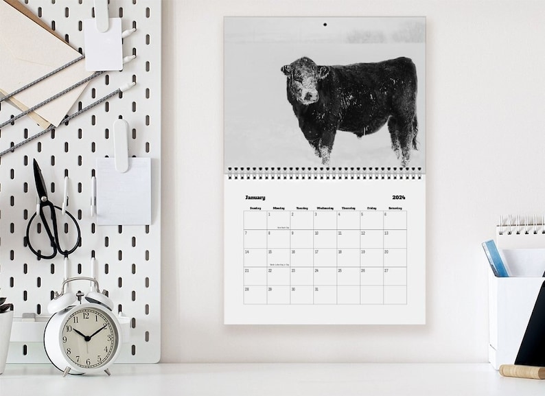Cow Calendar 2025, 11.5 X 14.5 2025 Wall Calendar, Ranch Life Calendar