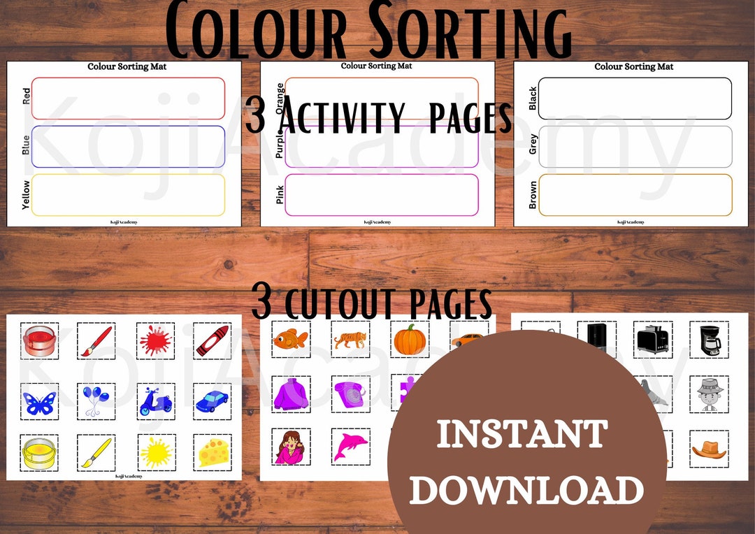 Colour Sorting Activity for Toddlers Preschool - Etsy