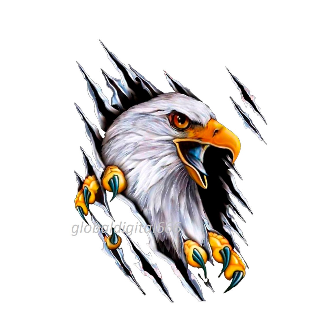 Eagle Png,eagle Talons,eagle Gaze,digital Download,color Print,tee Mug ...