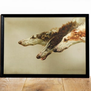 Barzoi Barsoi Borzoi Heads by Maud Earl Poster