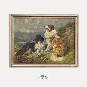 Collies auf dem Moor Poster Print