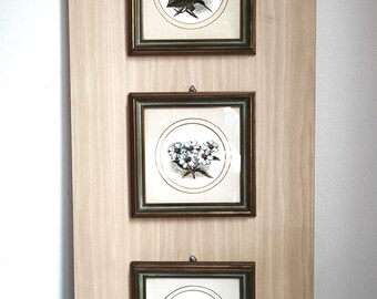 Hand-Colored Botanical Prints Set – Framed Florentine Art Trio – Vintage Italian Flower Illustrations – Bottega Grassi Nesi – Wall Decor
