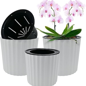 Puede incluir: Tres macetas de plástico blanco para orquídeas con insertos de plástico negro. Las macetas tienen un diseño acanalado y miden aproximadamente 12,5 cm de alto. Las macetas están vacías y listas para ser plantadas.