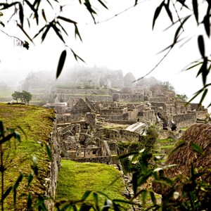May include: A misty view of Machu Picchu, an ancient city. The stone buildings are surrounded by green vegetation and framed by bamboo leaves. The image captures the historical site's grandeur and the natural beauty of the landscape.