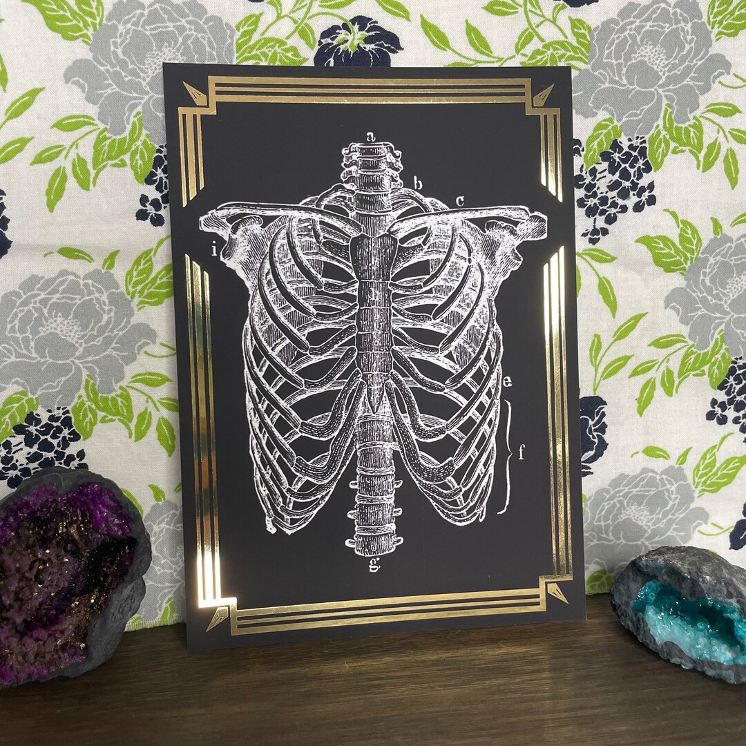 Rib Cage, 5x7 Inch, Art Deco Desk Art, Creepy Artwork, Gothic Home ...
