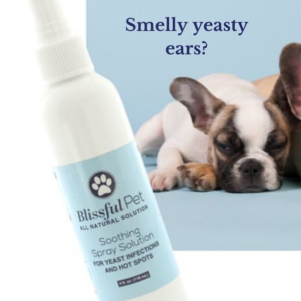Blissful Pet - Yeasty Ears - Smelly - Hot Spots - Natural Itch Relief