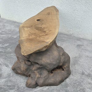 Wabi Sabi Oak Coffee Table: Reclaimed Wood & Tree Stump Base