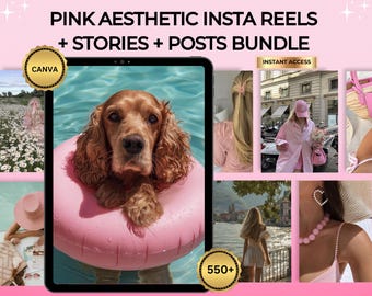 Pink Instagram Reels & Photos Bundle (MRR, Canva Templates)