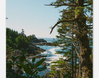 Blues and Greens Vancouver Island Poster Print Ucluelet Tofino Art Print British Columbia Wall Art Retro Photograph Square Wall Art Nature
