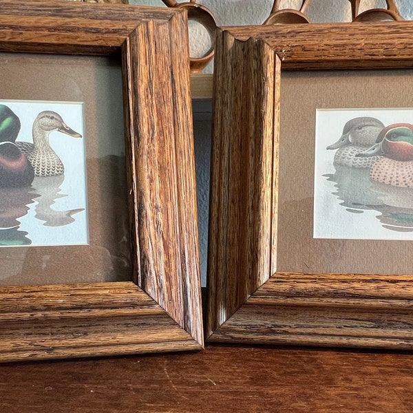 Framed Mallard and Mrs Mallard and a pair of Wood Ducks, 1981 Richard Sloan Artwork Framed