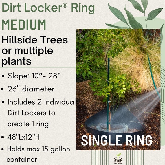 MED Tree/Plant Rings Medium Locker® Dirt