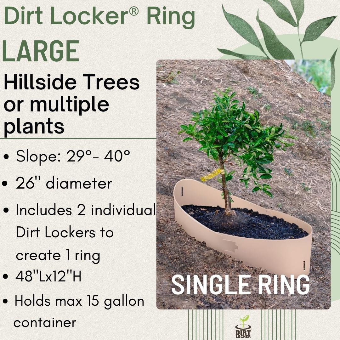 LG Dirt Locker® Tree/Plant Rings Large - Etsy Österreich