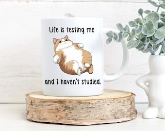 Funny cat mug, Life is testing me and I haven’t studied yet, funny cat meme, cat lover funny Christmas gift, Coffee mug