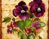 Pansy flower art, vintage wall decor