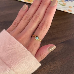 Amazonite gold fidget ring, silver fidget ring, fidget ring, anxiety jewelry, worry ring