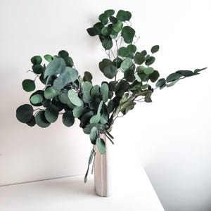 Peut inclure: Un bouquet de feuilles d'eucalyptus vertes dans un vase en céramique blanc. Le vase a une surface texturée et une base arrondie.