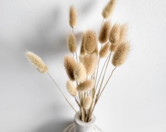 Dried Bunny Tails, Natural Neutral Lagurus Ovatus, Minimalist Home Decor, Event Flowers