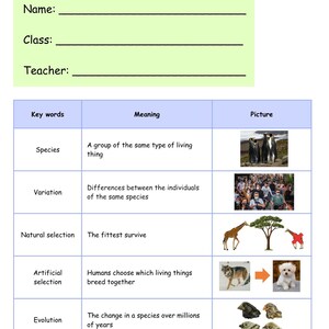 KS3 SEN Natural Selection Booklet (6 lessons)