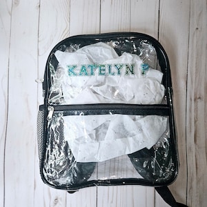 SMALL Clear Backpack/ Stadium Bag School Backpack/ Concert Bag/ Game Bag/ Festival Bag/ School Clear Backpack/ Olivia Rodrigo / Guts tour