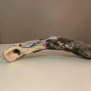 53 cm Natural Driftwood Sculpture