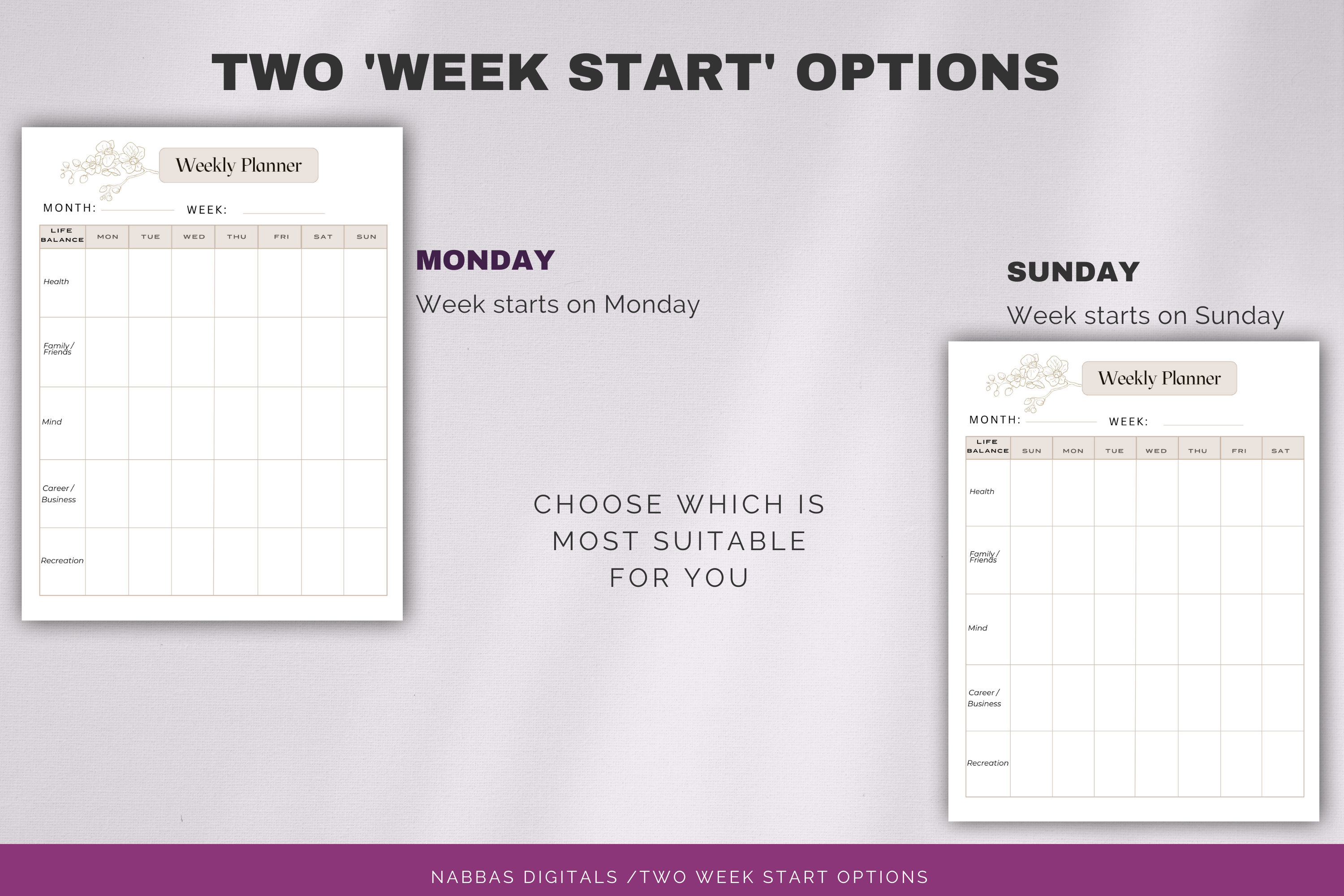 Life Balance Planner, Life and Work Planner, Undated PDF Planner, Wheel ...
