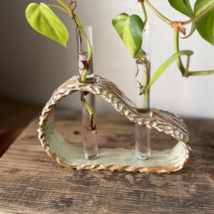 Handmade Ceramic Plant Propagation Station: Test Tube Planter