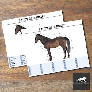 Parts of a Horse Worksheet | Printable PDF | A4 Size
