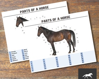 Hoja de trabajo sobre las partes de un caballo / PDF imprimible / Tamaño A4