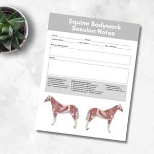 May include: A printable worksheet for equine bodywork session notes. The worksheet includes sections for horse name, session date, owner, reason for session, last session, next session, notes, and muscle development, muscle tone and texture, and PEMF reaction scales. The worksheet also includes two illustrations of a horse's muscular system.
