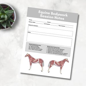Pode incluir: Uma folha de trabalho imprimível para as notas da sessão de trabalho corporal equino. A folha de trabalho inclui seções para o nome do cavalo, a data da sessão, o proprietário, o motivo da sessão, a última sessão, a próxima sessão, as notas, a escala de desenvolvimento muscular e a escala de tom e textura muscular. A folha de trabalho também inclui duas ilustrações da musculatura de um cavalo.
