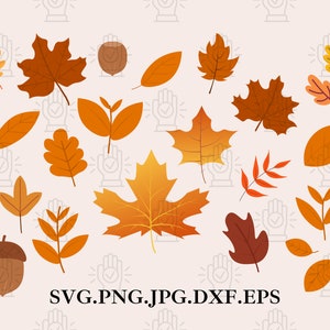 Herbst Blätter Svg Bundle,Herbst Blätter Svg,Herbst Blatt svg,Herbst Blätter svg,HerbstBlatt svg glowforge,clipart,silhouette,png,eps,vektor