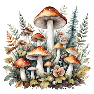 May include: Watercolor painting of a cluster of red and white mushrooms growing in a forest setting. The mushrooms are surrounded by green leaves and ferns.