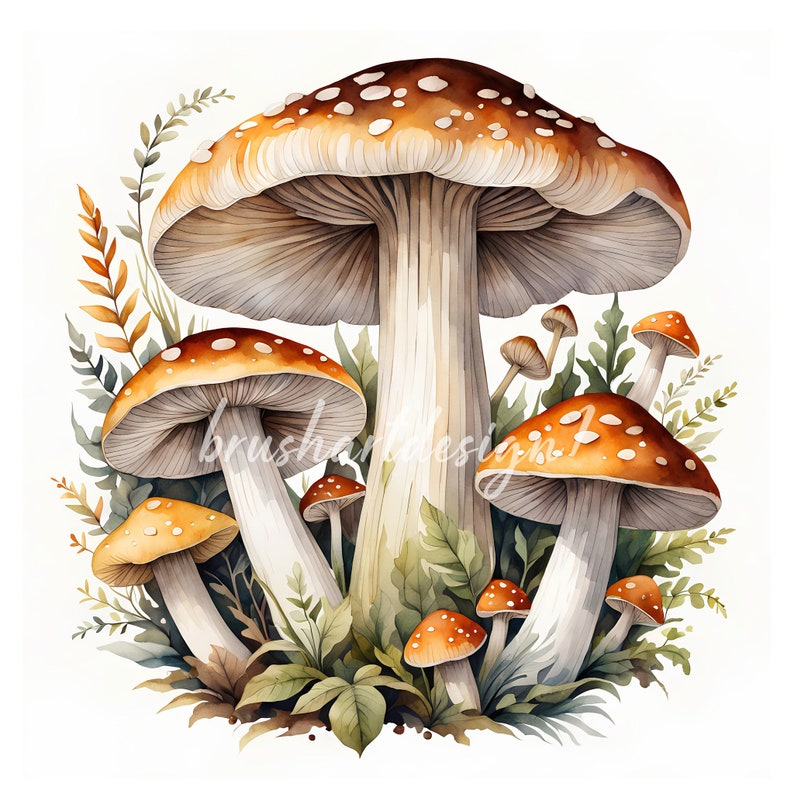 May include: A cluster of watercolor painted mushrooms in various sizes and shades of brown and orange with white spots. The mushrooms are surrounded by green foliage.