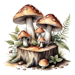 May include: A watercolor painting of a group of mushrooms growing on a tree stump. The mushrooms are red and white with brown stems. The stump is brown and has a rough texture. There are green leaves and ferns around the stump.