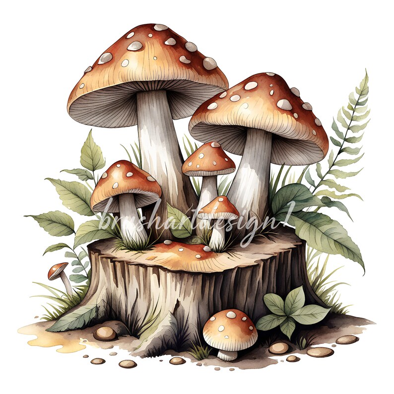 May include: A watercolor painting of a group of mushrooms growing on a tree stump. The mushrooms are red and white with brown stems. The stump is brown and has a rough texture. There are green leaves and ferns around the stump.