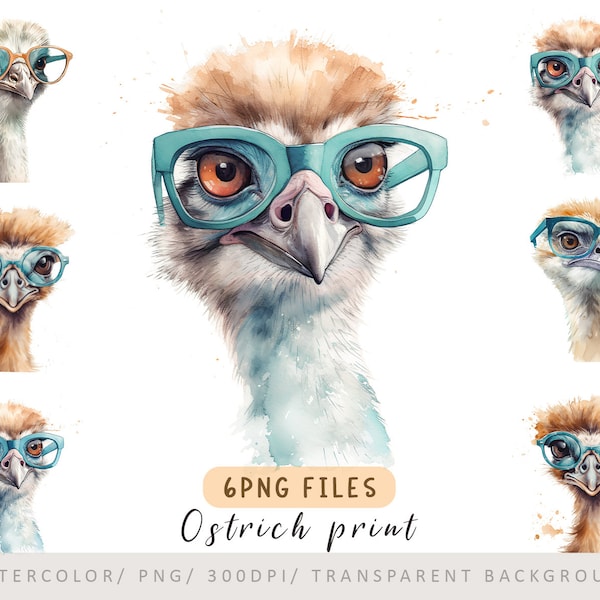 Watercolor Ostrich- 6 PNG, Ostrich Print, Ostrich Clipart, Animal Portrait Png, Digital Printing, Commercial Use, Animals with glasses