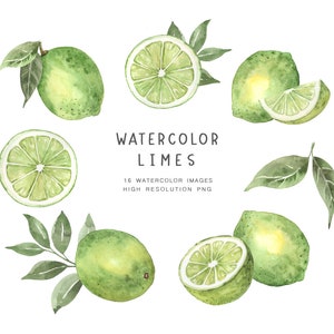 Limes watercolor clipart, Limes PNG, Fruits clipart, Limes illustrations, Vegetarian food, DIY Lime cards, Stickers planner, Summer clipart