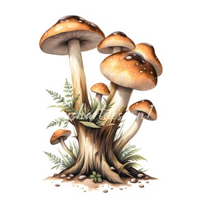 May include: A watercolor painting of a cluster of brown and white mushrooms growing from a tree stump. The mushrooms have white spots and are surrounded by green ferns.