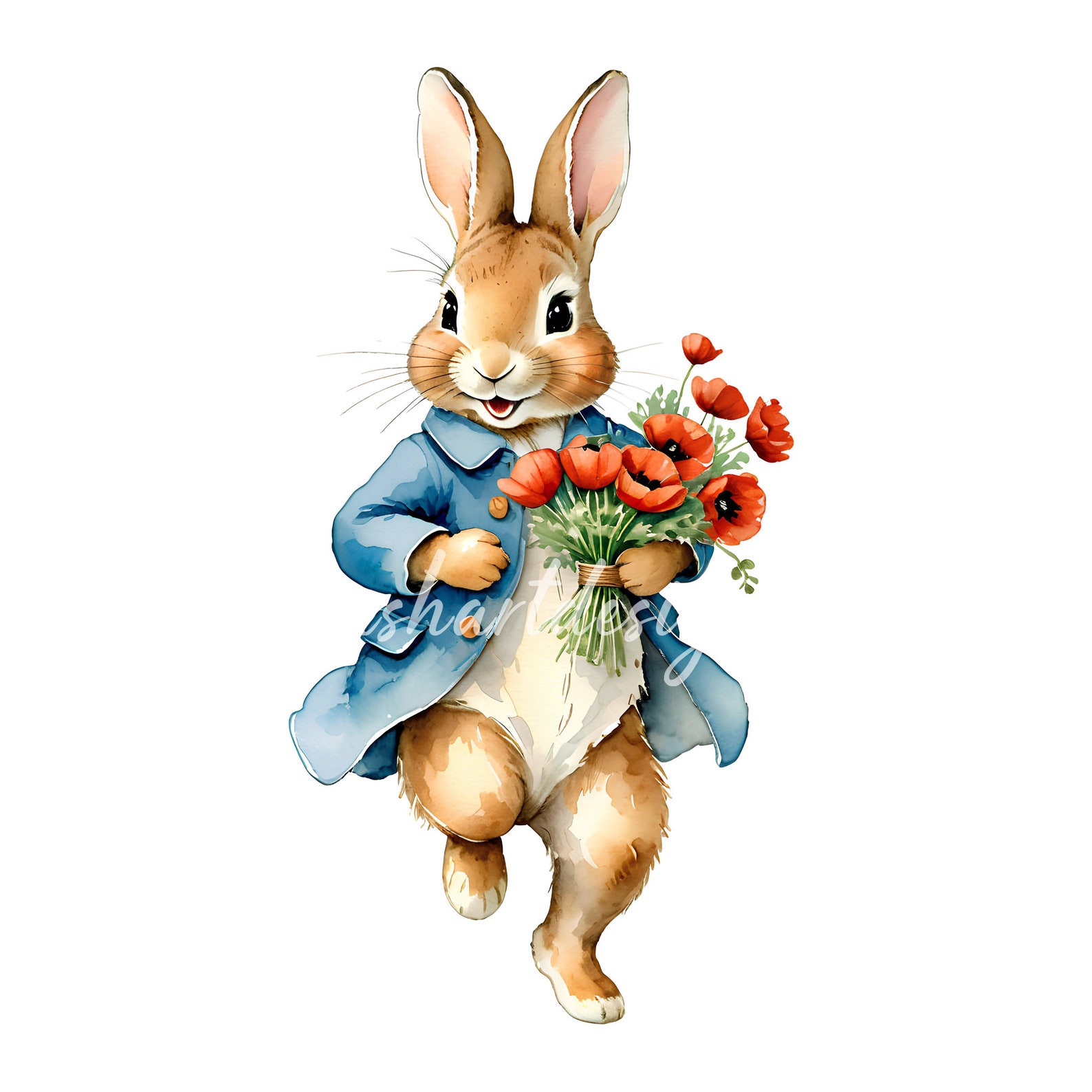 11 Peter Rabbit and Poppies Clipart, Beatrix Potter Style, Poppy Field ...