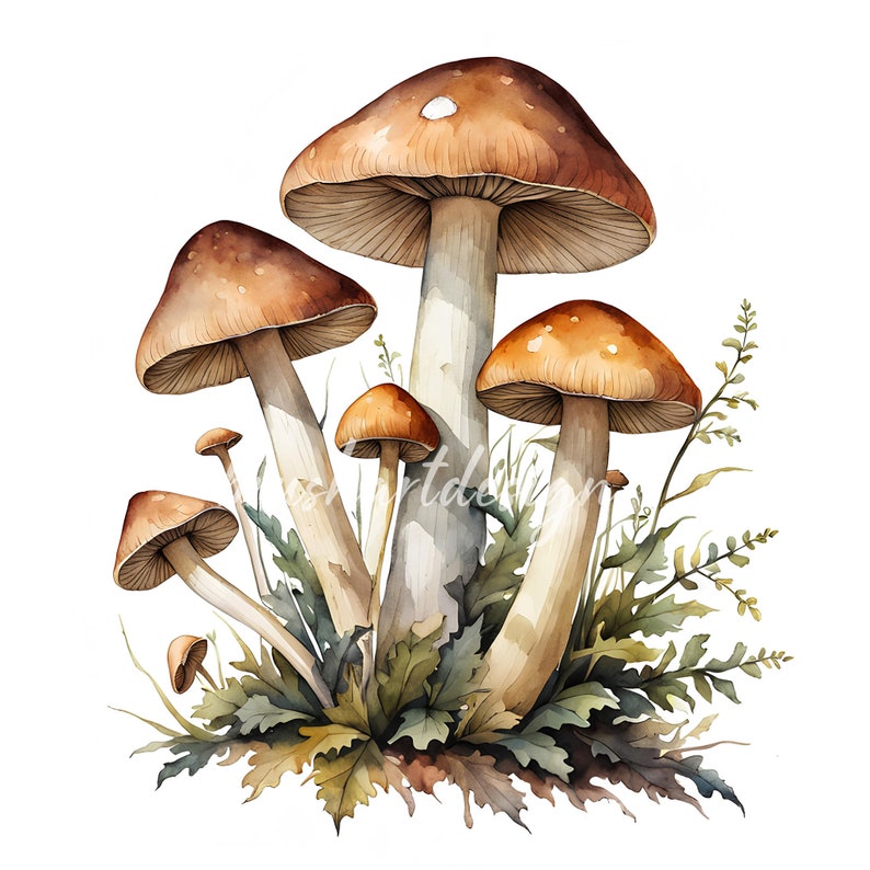 May include: A watercolor painting of a cluster of brown mushrooms with white spots growing in a bed of green leaves.