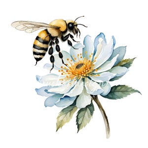 12 Blumen- und Bienen-Cliparts, Blumen-Cliparts, Bienen-Cliparts, hochwertige JPGs, Kartenherstellung, Papierhandwerk, Junk-Journal, digitaler Download