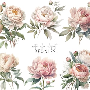Aquarelles mignonnes de pivoines, clipart fleur, pivoines Png, printemps, été, floral, album de scrapbooking, téléchargement numérique, fleur de pivoine, scrapbooking