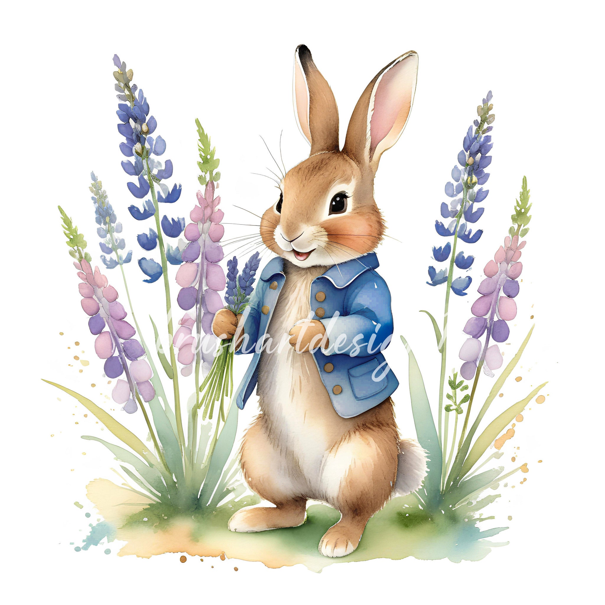 10 Peter Rabbit Clipart, Beatrix Potter Style, Spring Flowers (JPG) - Etsy