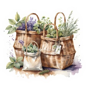 14 erbe piccanti in clipart di cestini rustici, clipart di erbe profumate, clipart acquerello, JPG di alta qualità, creazione di carte, artigianato con la carta, diario spazzatura