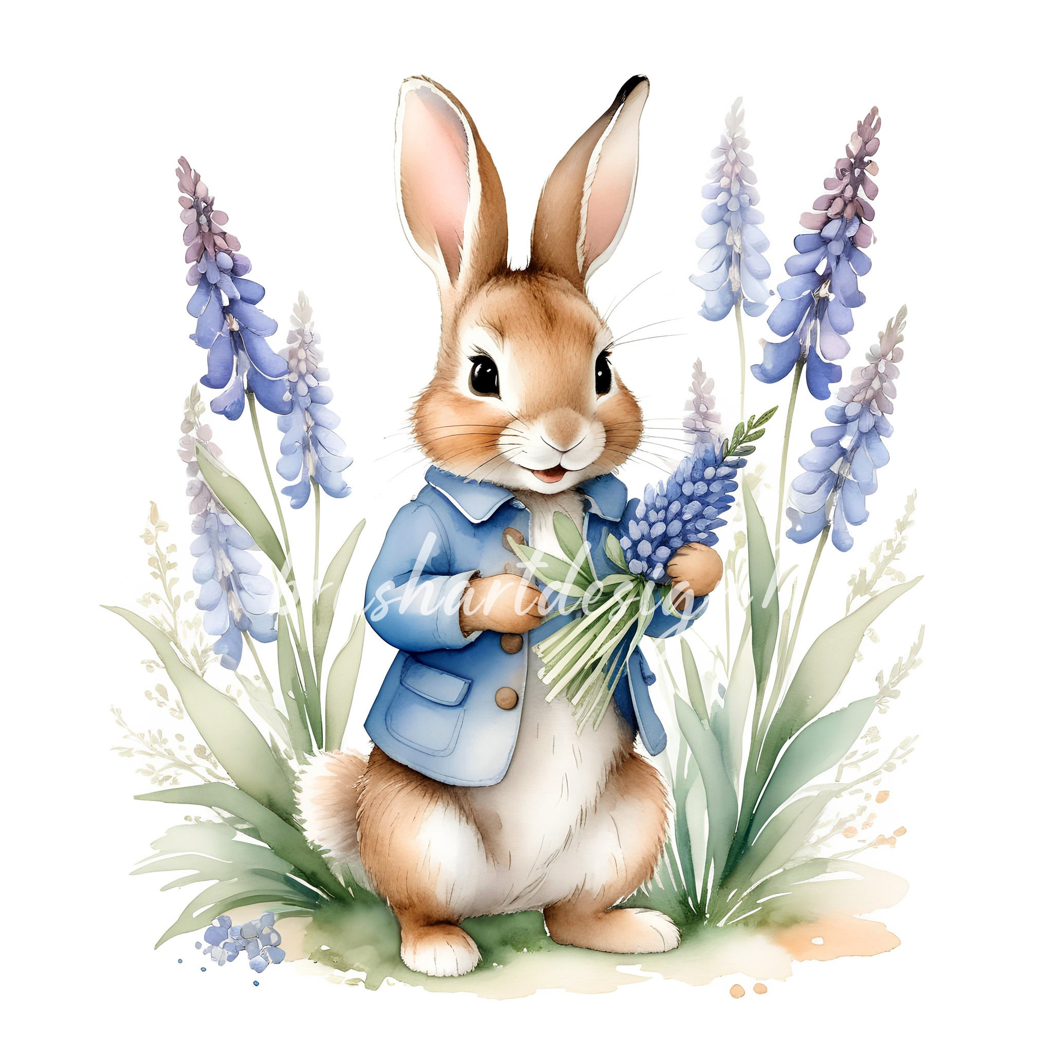 10 Peter Rabbit Clipart, Beatrix Potter Style, Spring Flowers (JPG) - Etsy